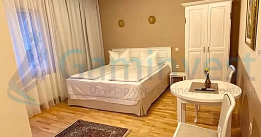 Spațiu comercial Nufărul