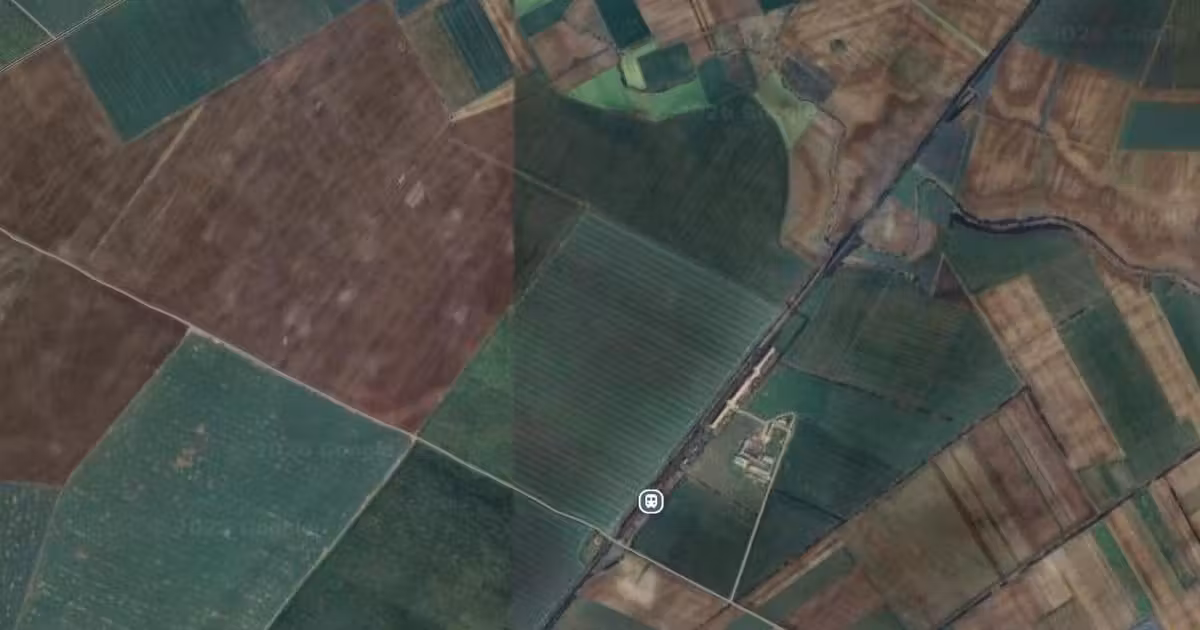 Teren agricol extravilan de vânzare de 124937 mp, în Livada de Bihor