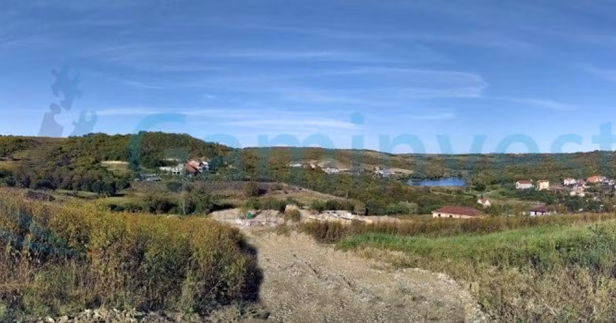Teren Construcții intravilan de vânzare de 11050 mp, în Săldăbagiu de Munte