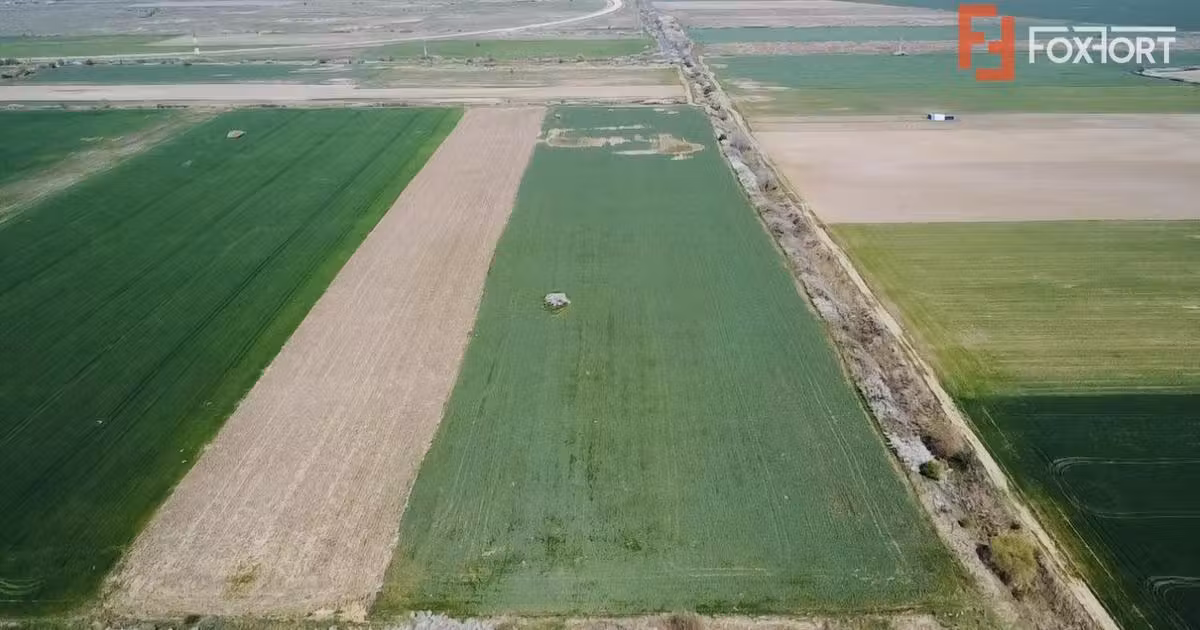 Teren agricol extravilan de vânzare de 10200 mp, în Giroc