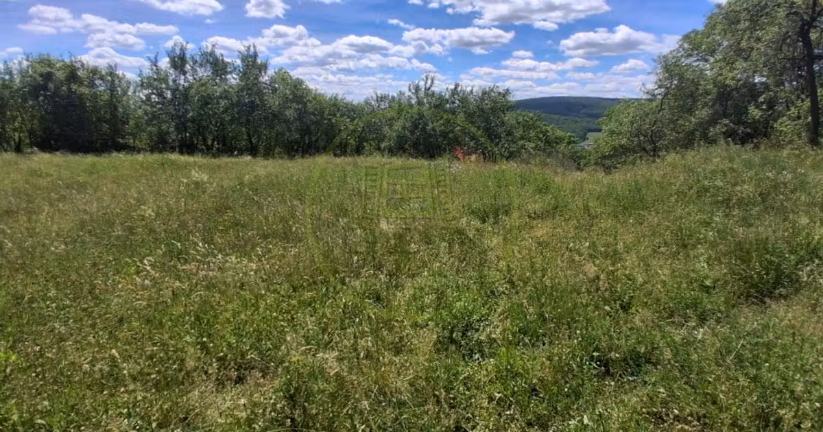 Teren Construcții intravilan de vânzare de 1079 mp, în Popești
