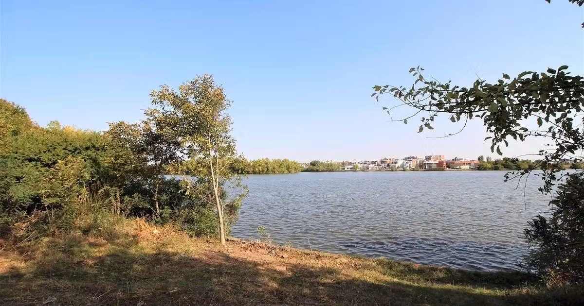 Teren Construcții intravilan de vânzare de 2041 mp, în zona Dămăroaia, Sector 1