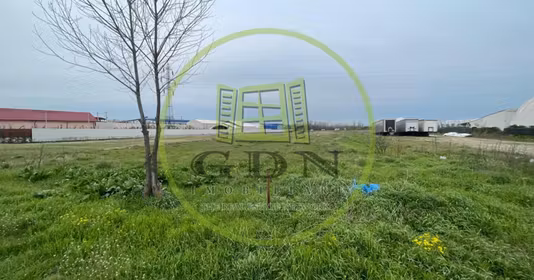 Teren Craiovița Nouă
