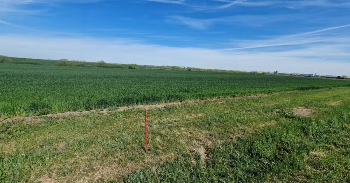 Teren agricol extravilan de vânzare de 9500 mp, în Remetea Mare