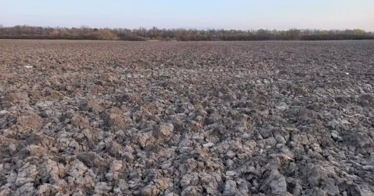 Teren Construcții extravilan de vânzare de 4816 mp, în Ghiroda