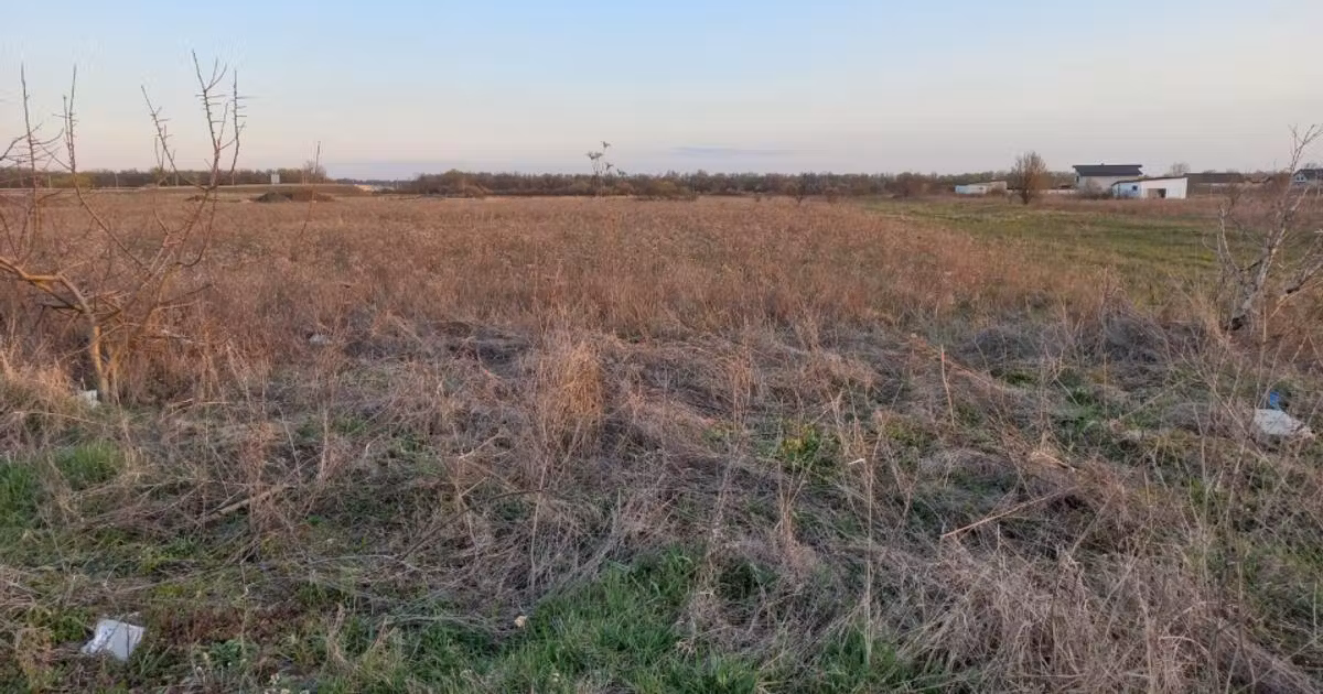 Teren Construcții extravilan de vânzare de 4464 mp, în Ghiroda