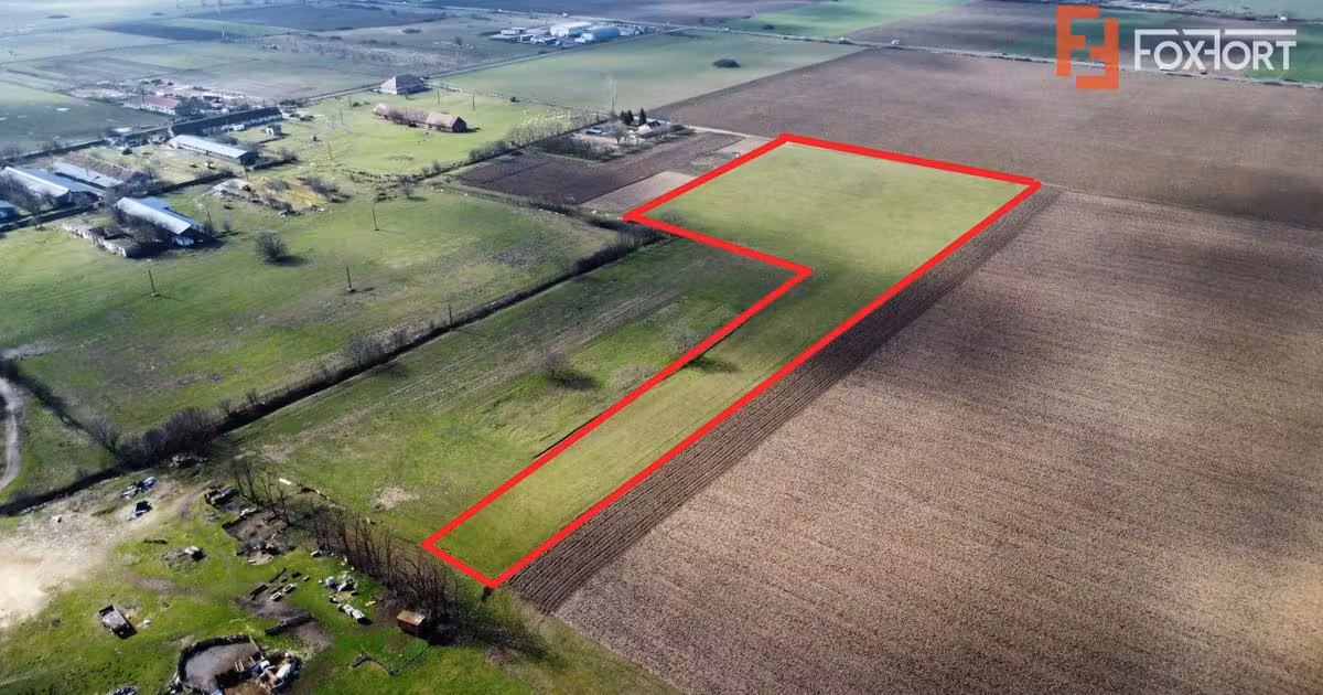 Teren Construcții intravilan de vânzare de 20000 mp, în Pădureni (Jebel)