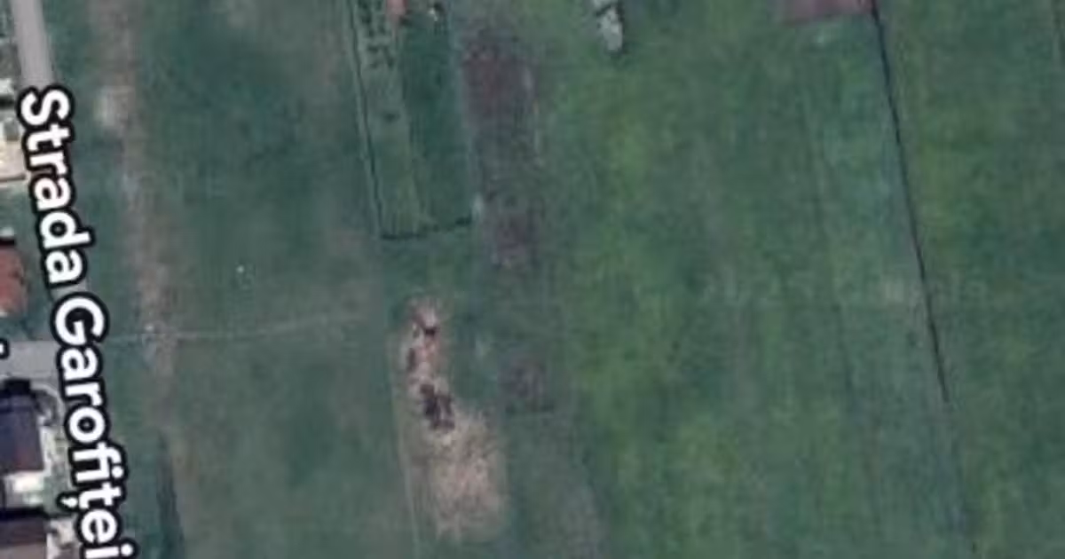 Teren Construcții intravilan de vânzare de 1532 mp, în Sânandrei