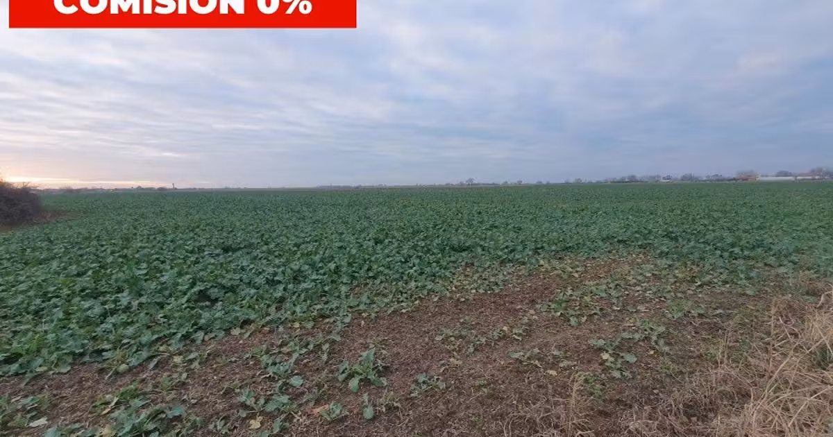 Teren agricol extravilan de vânzare de 20000 mp, în Șag