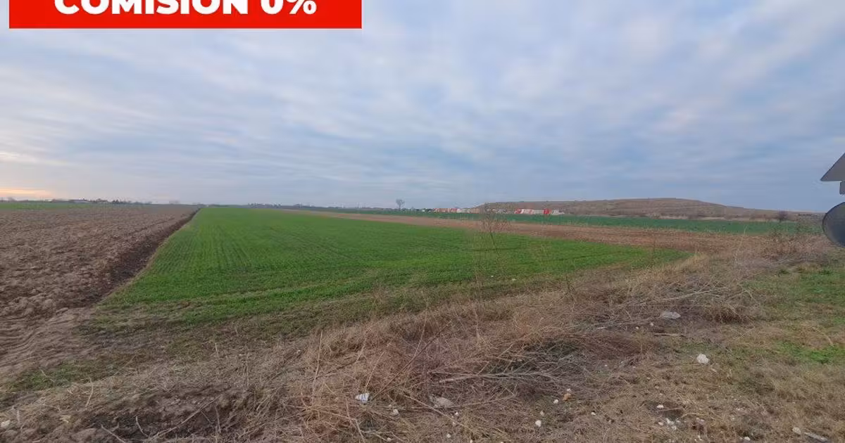 Teren agricol extravilan de vânzare de 10000 mp, în Șag