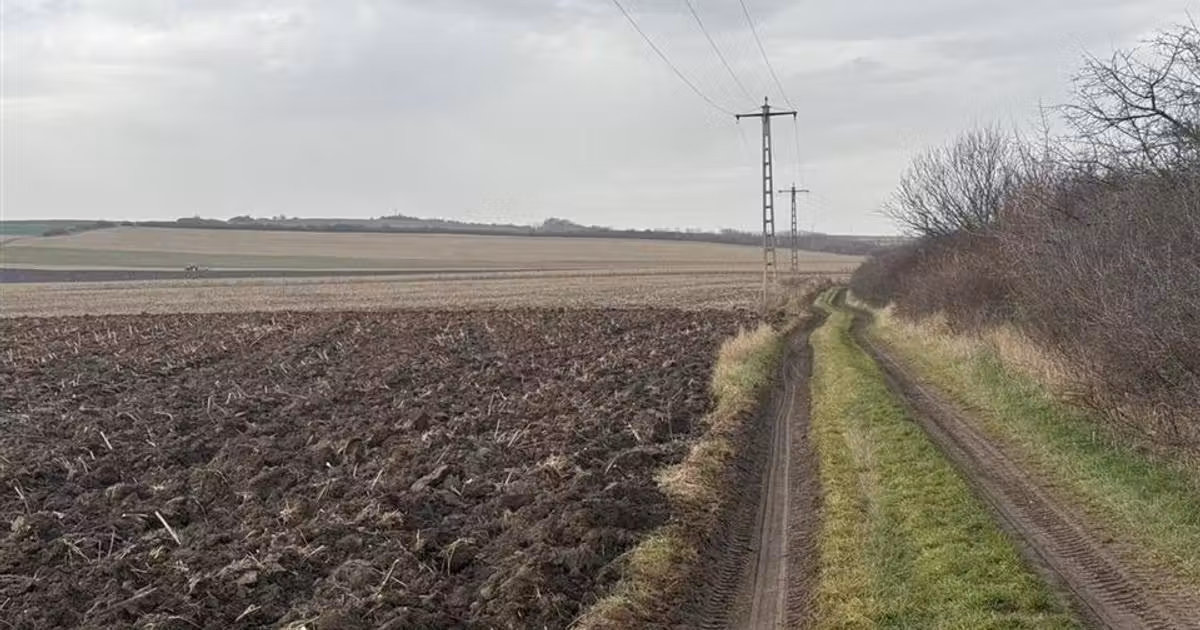 Teren agricol extravilan de vânzare de 20300 mp, în Șura Mică