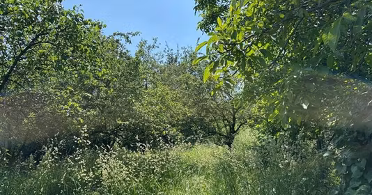 Teren Bună Ziua