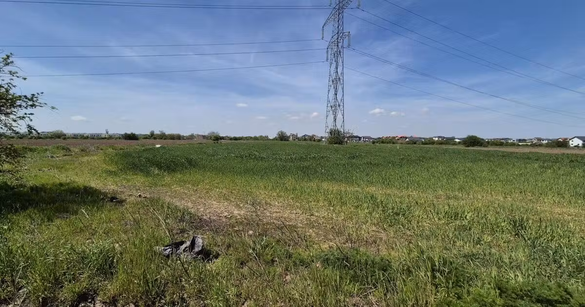 Teren agricol extravilan de vânzare de 9983 mp, în Berceni