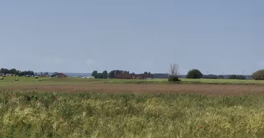 Teren Berceni