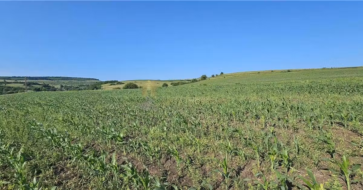 Teren intravilan de vânzare de 5800 mp, în Suceagu