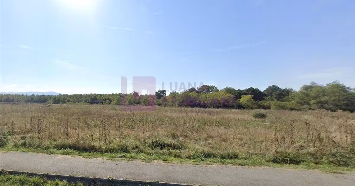 Teren agricol extravilan de vânzare de 2584 mp, în Cisnădie