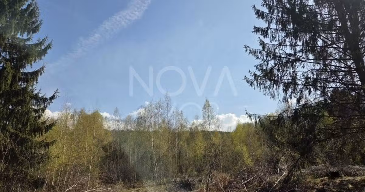 Teren Construcții intravilan de vânzare de 4900 mp, în Viștișoara
