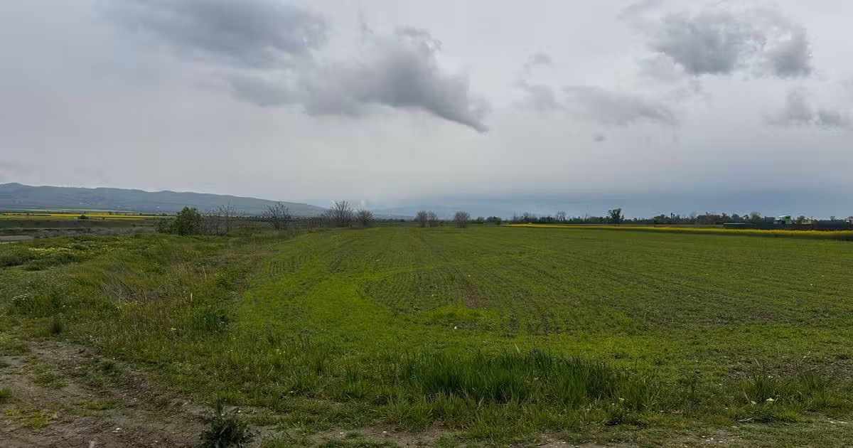 Teren Construcții extravilan de vânzare de 2500 mp, în Câmpineanca