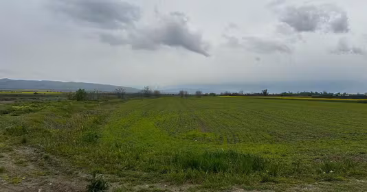 Teren Câmpineanca
