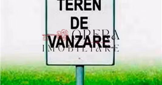 Teren Nicolina