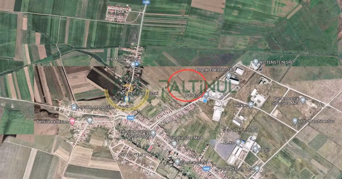 Teren agricol extravilan de vânzare de 6000 mp, în Șura Mică