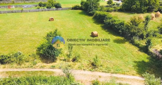 Teren Stejaru (Pângărați)