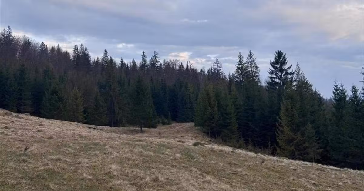 Teren intravilan de vânzare de 1000 mp, în Văleni-Stânișoara