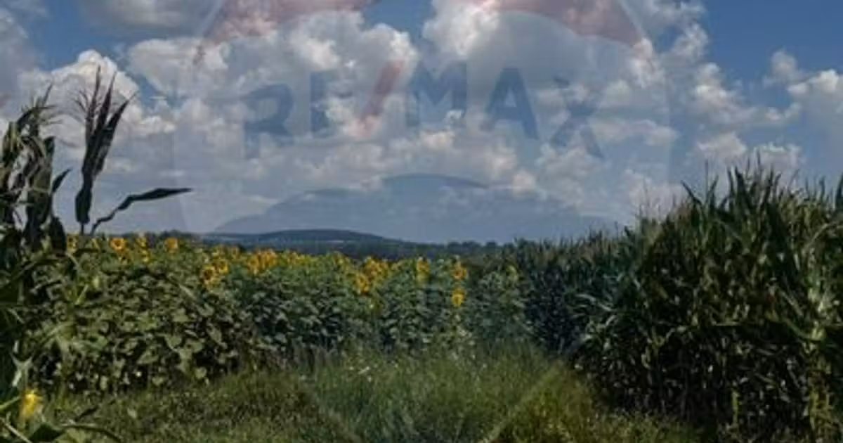 Teren agricol extravilan de vânzare de 6000 mp, în Costâna