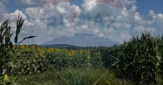 Teren Costâna