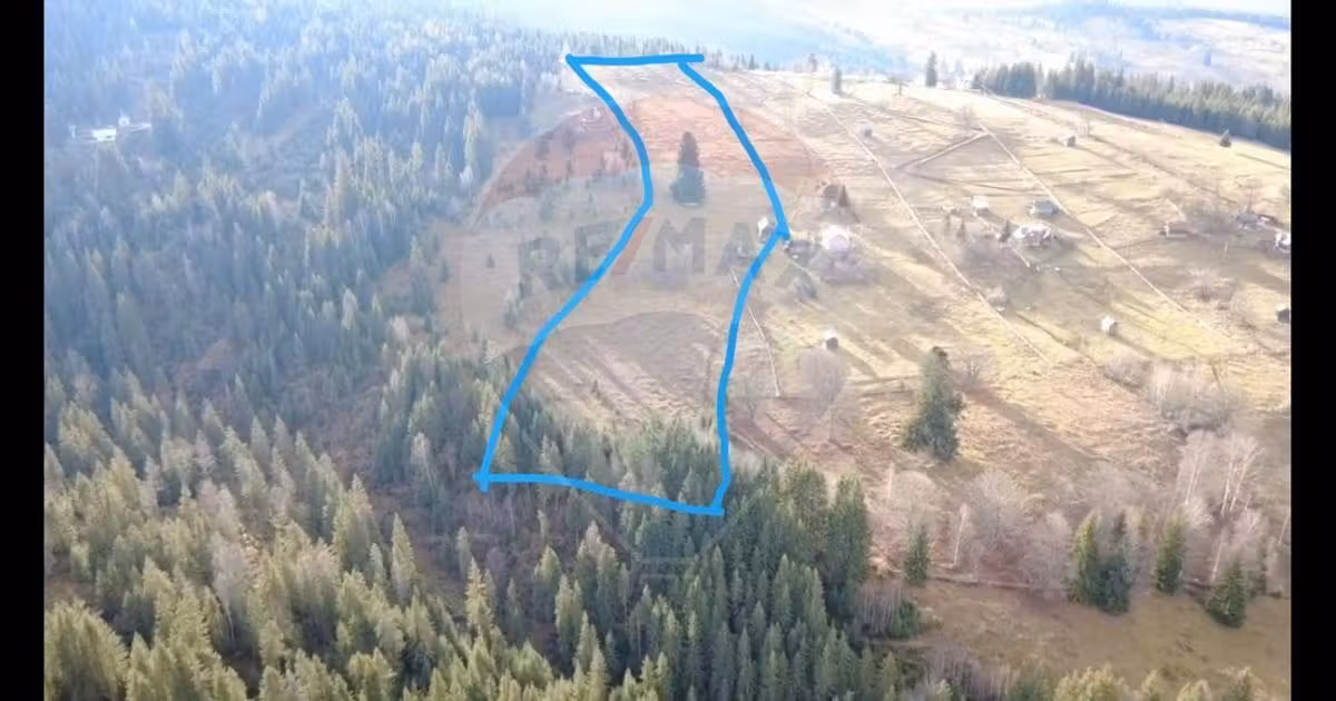 Teren Construcții intravilan de vânzare de 26232 mp, în Dorna-Arini