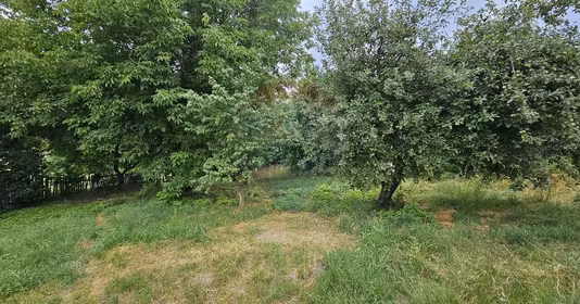 Teren Pădureni (Șendriceni)