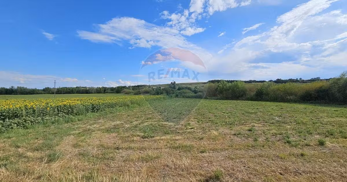 Teren agricol extravilan de vânzare de 12000 mp, în Pădureni (Șendriceni)