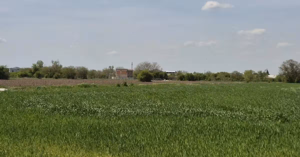 Teren agricol extravilan de vânzare de 9983 mp, în Berceni
