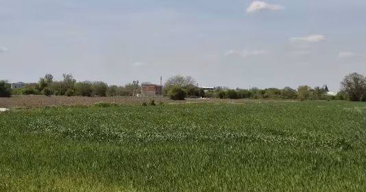 Teren Berceni