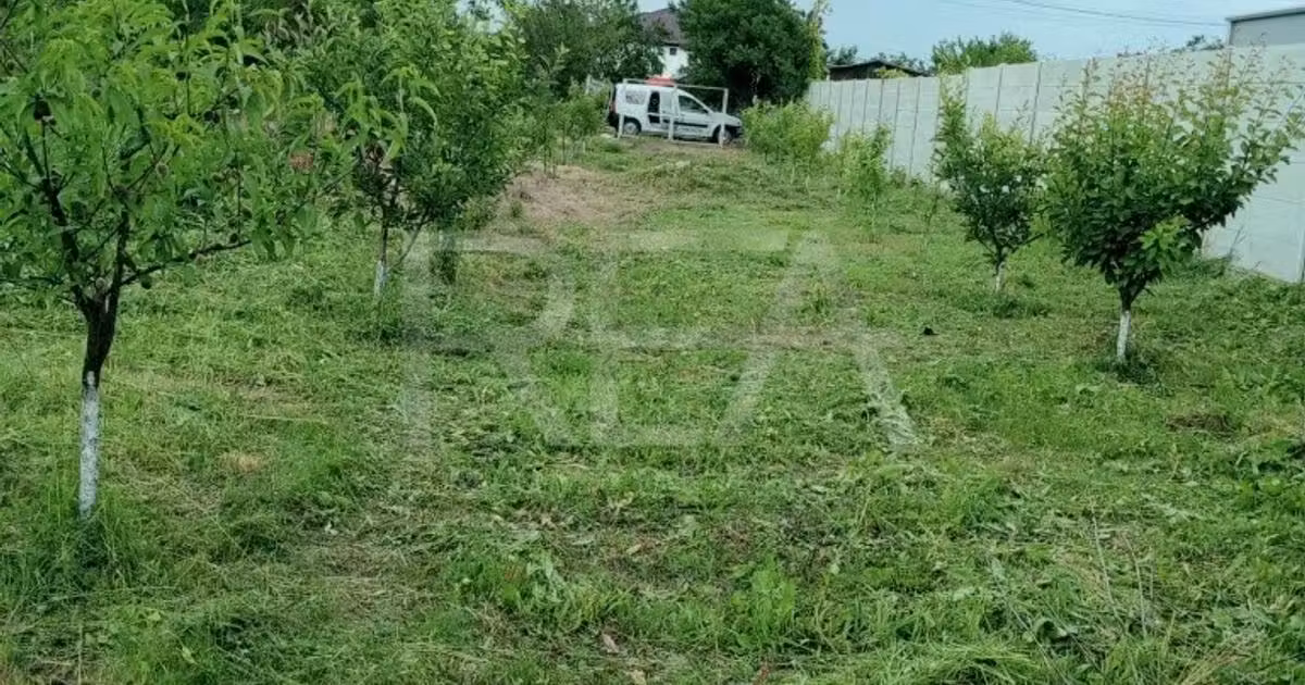 Teren · 120000 m², Cornetu, Bragadiru