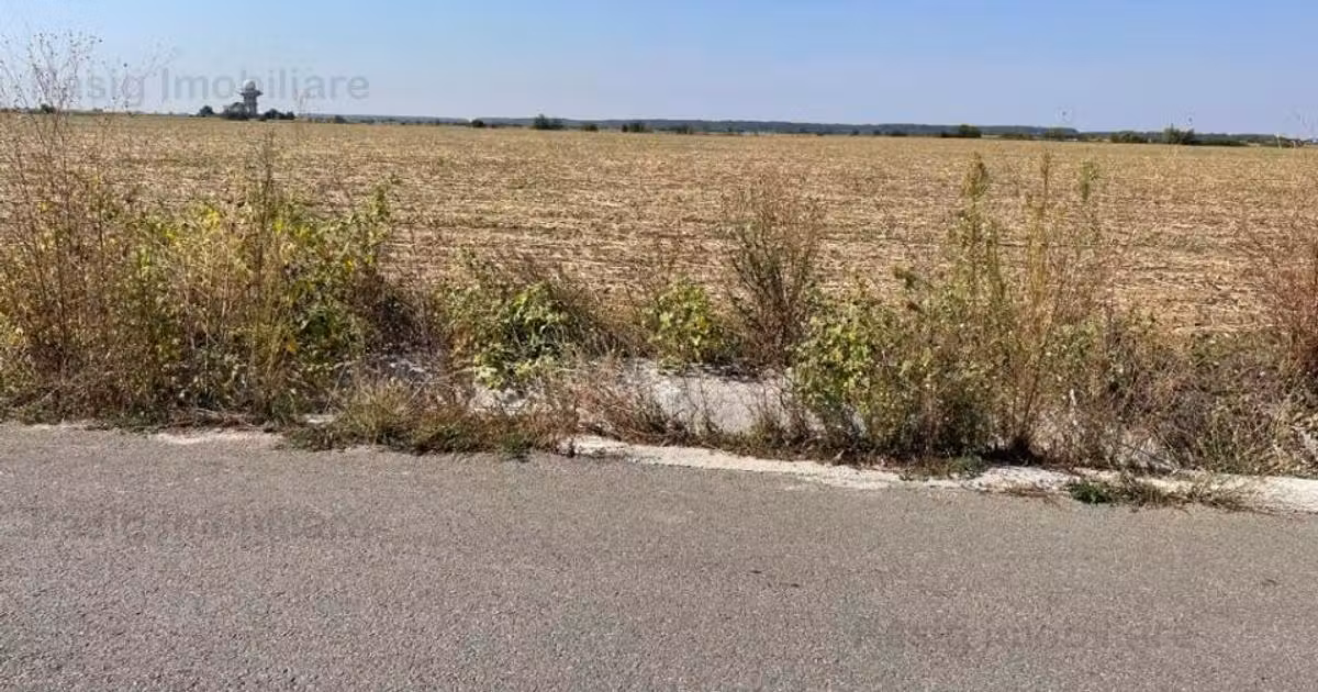Teren Construcții intravilan de vânzare de 20001 mp, în Corbeanca