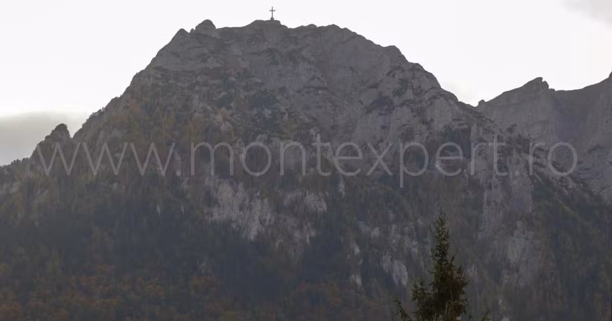 Teren Construcții intravilan de vânzare de 441 mp, în Bușteni