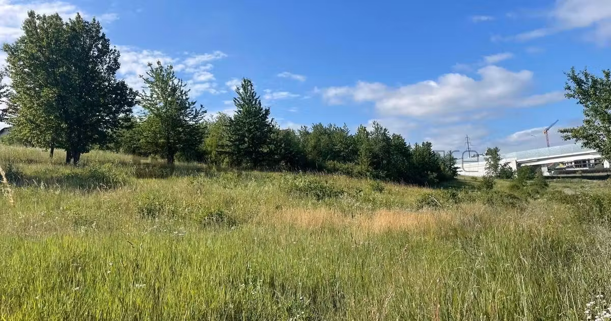 Teren Construcții intravilan de vânzare de 1384 mp, în Sânmartin