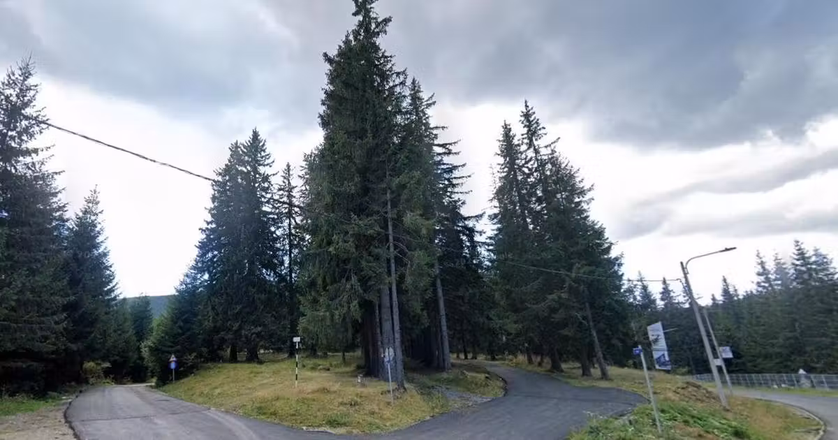 Teren agricol intravilan de vânzare de 1400 mp, în Păltiniș