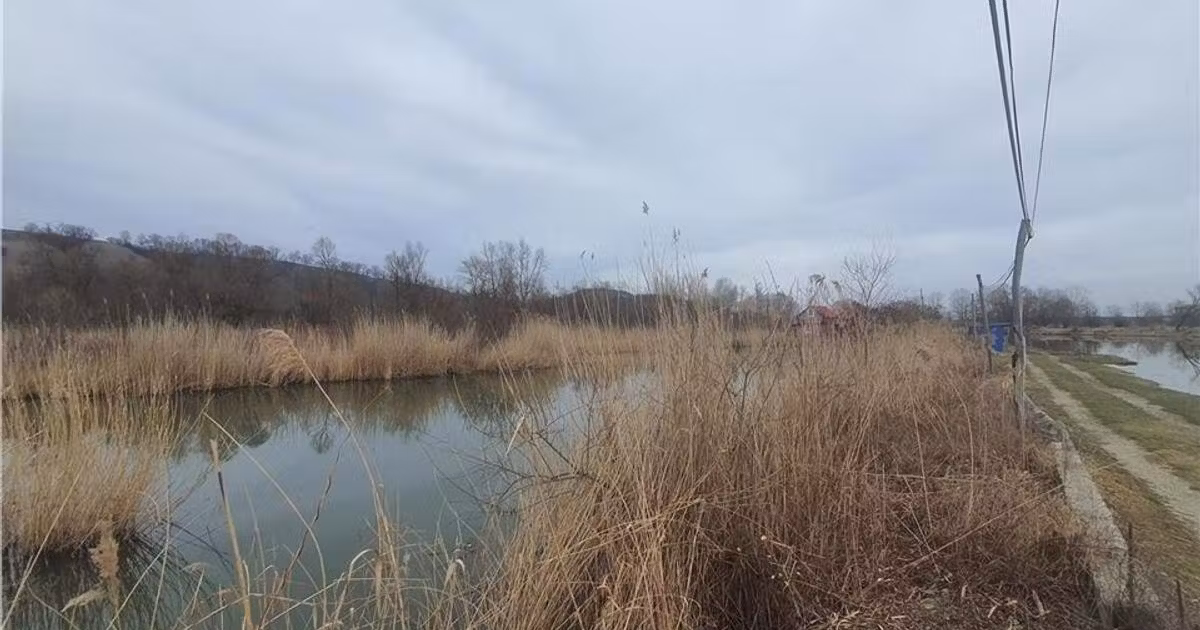 Teren agricol extravilan de vânzare de 5820 mp, în Colun