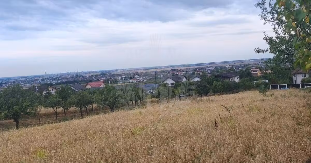 Teren Construcții intravilan de vânzare de 10000 mp, în Păulești