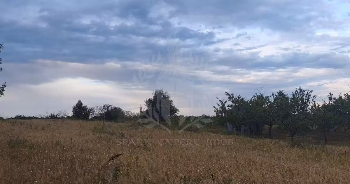 Teren Construcții intravilan de vânzare de 2930 mp, în Păulești