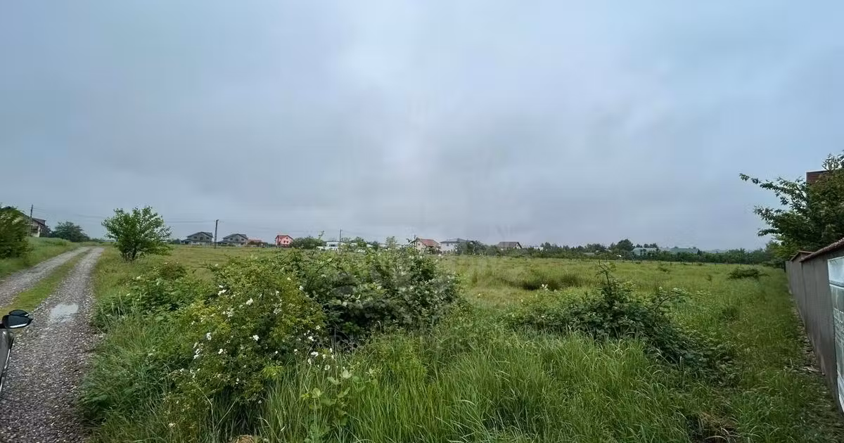 Teren Construcții intravilan de vânzare de 9928 mp, în Păulești