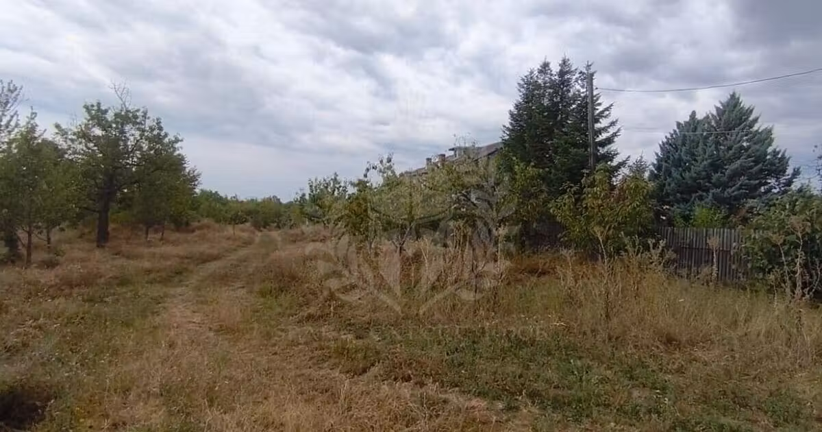 Teren Construcții intravilan de vânzare de 17211 mp, în Păulești