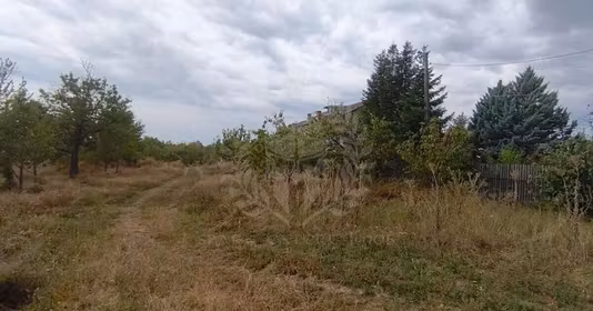 Teren Păulești