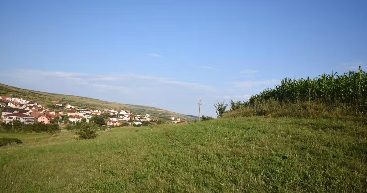 Teren Construcții intravilan de vânzare de 3800 mp, în Chinteni