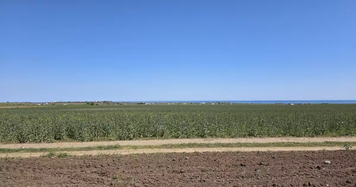 Teren agricol extravilan de vânzare de 5000 mp, în Corbu
