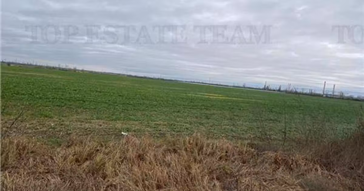 Teren agricol extravilan de vânzare de 60600 mp, în Berceni