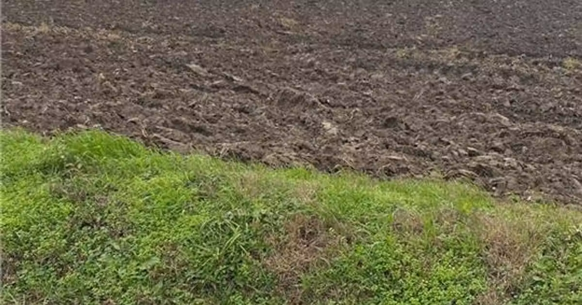 Teren agricol extravilan de vânzare de 10000 mp, în Berceni