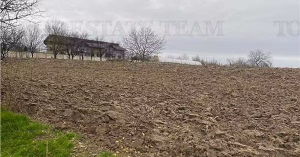 Teren Construcții intravilan de vânzare de 12223 mp, în Berceni